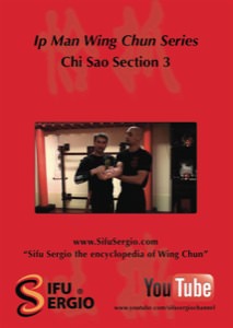 Sifu Sergio Iadarola - Chi Sao Section 3 - DVD