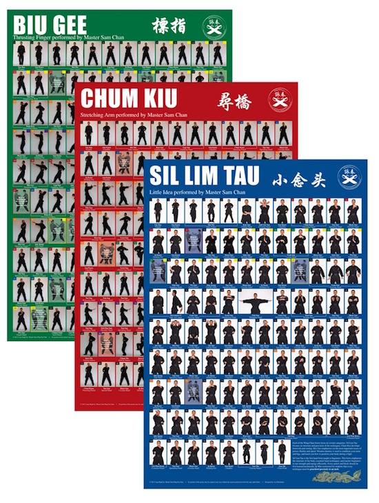 Sam Chan - Wing Chun Kung Fu Poster Set (Ip Man/Ip Ching Lineage)