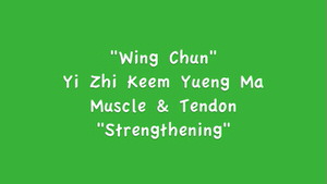DOWNLOAD: Greg Yau - Wing Chun Power Stance Course - Bonus - Muscle & Tendon Change Exercises