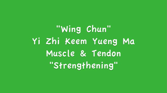 DOWNLOAD: Greg Yau - Wing Chun Power Stance Course - Bonus - Muscle & Tendon Change Exercises