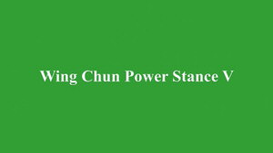 DOWNLOAD: Greg Yau - Wing Chun Power Stance Course - Lesson 5