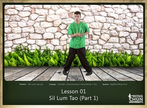 DOWNLOAD: Larry Saccoia - Applied Wing Chun - Lesson 001 - Sil Lum Tao (Part 1)