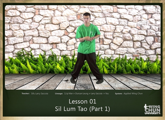 DOWNLOAD: Larry Saccoia - Applied Wing Chun - Lesson 001 - Sil Lum Tao (Part 1)