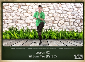 DOWNLOAD: Larry Saccoia - Applied Wing Chun - Lesson 002 - Sil Lum Tao (Part 2)