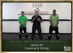 DOWNLOAD: Larry Saccoia - Applied Wing Chun - Lesson 005 - Covering and Hitting