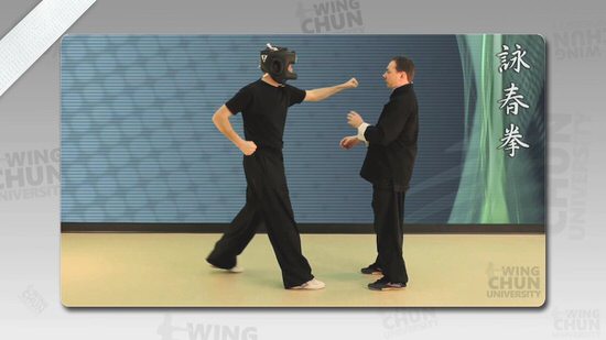 DOWNLOAD: Wayne Belonoha - Ving Tsun System - Lesson 01a - About Ving Tsun Kung Fu