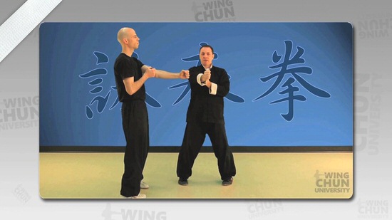 DOWNLOAD: Wayne Belonoha - Ving Tsun System - Lesson 03a - Chain Punching