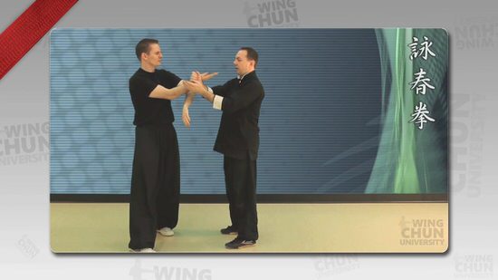 DOWNLOAD: Wayne Belonoha - Ving Tsun System - Lesson 20d - Double Hand Chi Sau, Additional Defenses