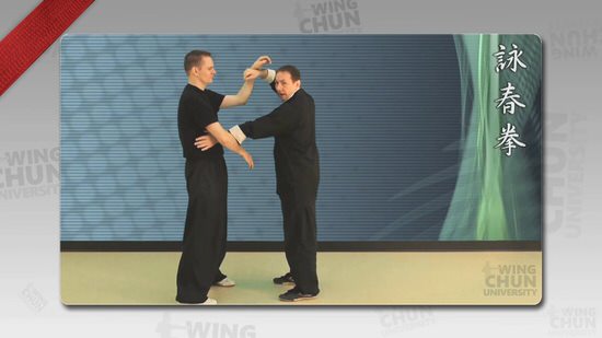 DOWNLOAD: Wayne Belonoha - Ving Tsun System - Lesson 20f - Double Hand Chi Sau, Unstoppables 7-12