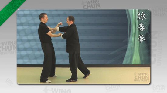 DOWNLOAD: Wayne Belonoha - Ving Tsun System - Lesson 21a - Pushing Horse Stance Training