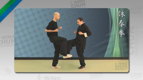 DOWNLOAD: Wayne Belonoha - Ving Tsun System - Lesson 25b - Chi Geuk, Part 2