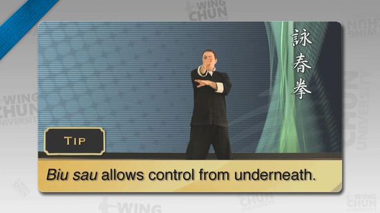 DOWNLOAD: Wayne Belonoha - Ving Tsun System - Lesson 30a - Biu Ji, Parts 7 & 8