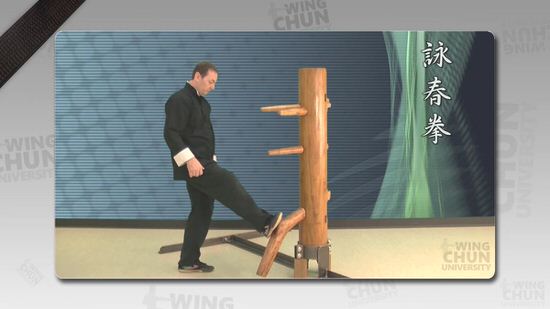 DOWNLOAD: Wayne Belonoha - Ving Tsun System - Lesson 36a - Wooden Dummy, Part 3