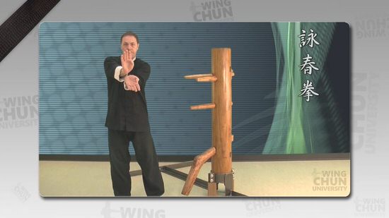 DOWNLOAD: Wayne Belonoha - Ving Tsun System - Lesson 37a - Wooden Dummy, Part 4