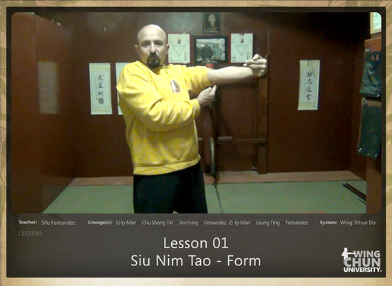 DOWNLOAD: Sifu Fernandez - WingTchunDo - Lesson 01 - Siu Nim Tao - Form