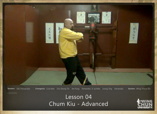 DOWNLOAD: Sifu Fernandez - WingTchunDo - Lesson 04 - Chum Kiu - Advanced