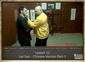 DOWNLOAD: Sifu Fernandez - WingTchunDo - Lesson 12 - Lat Sao - Chinese Version Lat Sao 1-5