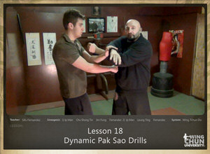 DOWNLOAD: Sifu Fernandez - WingTchunDo - Lesson 18 - Dynamic Pak Sao Drills (2014 Version)