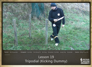 DOWNLOAD: Sifu Fernandez - WingTchunDo - Lesson 19 - Tripodial (Kicking Dummy)