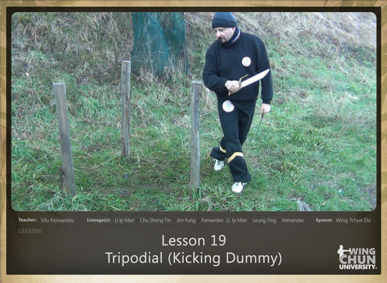 DOWNLOAD: Sifu Fernandez - WingTchunDo - Lesson 19 - Tripodial (Kicking Dummy)