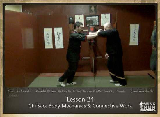 DOWNLOAD: Sifu Fernandez - WingTchunDo - Lesson 24 - Chi Sao - Body Mechanics & Connective Work