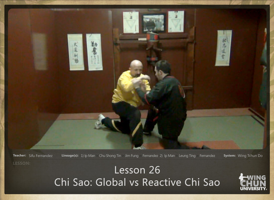 DOWNLOAD: Sifu Fernandez - WingTchunDo - Lesson 26 - Chi Sao - Global vs Reactive Chi Sao