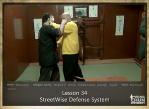 DOWNLOAD: Sifu Fernandez - WingTchunDo - Lesson 34 - Defense - StreetWise Defense System