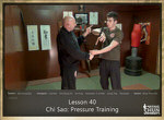 DOWNLOAD: Sifu Fernandez - WingTchunDo - Lesson 40 - Chi Sao - Pressure Training