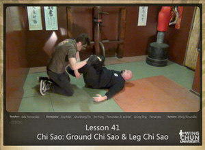 DOWNLOAD: Sifu Fernandez - WingTchunDo - Lesson 41 - Chi Sao - Ground Chi Sao and Leg Chi Sao