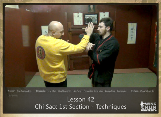 DOWNLOAD: Sifu Fernandez - WingTchunDo - Lesson 42 - Chi Sao - 1st Section - Techniques