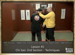DOWNLOAD: Sifu Fernandez - WingTchunDo - Lesson 45 - Chi Sao - 2nd Section - Techniques