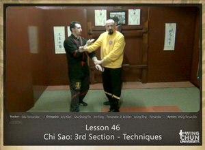 DOWNLOAD: Sifu Fernandez - WingTchunDo - Lesson 46 - Chi Sao - 3rd Section - Techniques