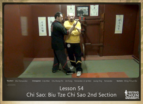 DOWNLOAD: Sifu Fernandez - WingTchunDo - Lesson 54 - Chi Sao - Biu Tze Chi Sao 2nd Section