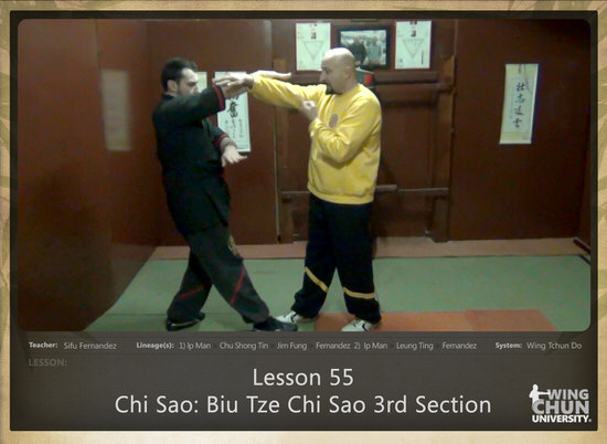 DOWNLOAD: Sifu Fernandez - WingTchunDo - Lesson 55 - Chi Sao - Biu Tze Chi Sao 3rd Section