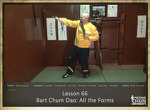 DOWNLOAD: Sifu Fernandez - WingTchunDo - Lesson 66 - Bart Chum Dao - All the Forms with Swords