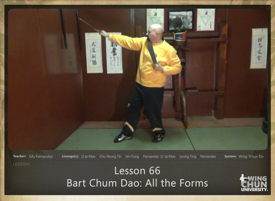 DOWNLOAD: Sifu Fernandez - WingTchunDo - Lesson 66 - Bart Chum Dao - All the Forms with Swords