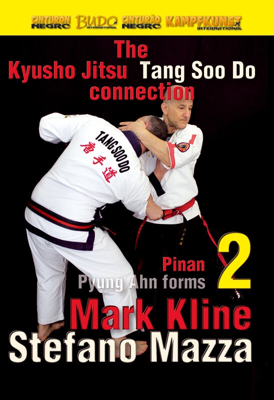 DOWNLOAD: Mark Kline - Kyusho Tang Soo Do Connection Pyung Ahn Pinan Kata 2