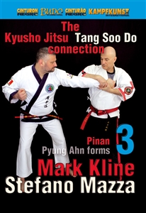 DOWNLOAD: Mark Kline - Kyusho Tang Soo Do Connection Pyung Ahn Pinan Kata 3