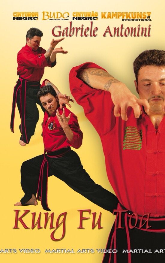 DOWNLOAD: Garbriele Antonini - Kung Fu Toa Forms and applications Vol 1