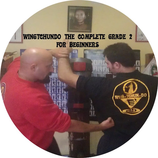Sifu Fernandez - WingTchunDo The Complete Grade 2 for Beginners