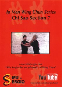 Sifu Sergio Iadarola - Chi Sao Section 7 - DVD