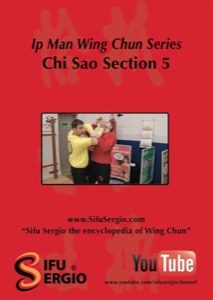 Sifu Sergio Iadarola - Chi Sao Section 5 - DVD