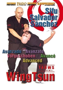 TAOWS Academy 02 - Advanced Wing Tsun DOWNLOAD