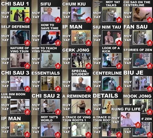 DOWNLOAD: Bundle - Moy Yat Collection (31 Videos)