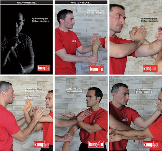 Bundle - Sifu Taner & Sifu Graziano - Chi Sao 1-7 DVD Collection