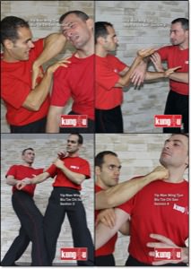 Sifu Taner & Sifu Graziano - Biu Tze Chi Sao 1-4 DVDs Collection