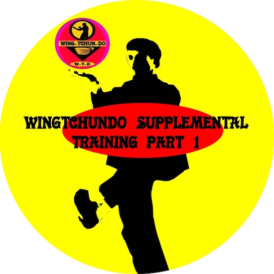 Sifu Fernandez - Wing Tchun Do - Grade 1-5 Supplemental Training Drills Part 1