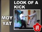 Moy Yat - The Look of a Kick
