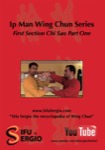 Sifu Sergio Iadarola - Chi Sao Section 1 Part 1 - DVD