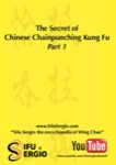 Sifu Sergio Iadarola - The Secret of Chinese Chain Punching Kung Fu - DVD